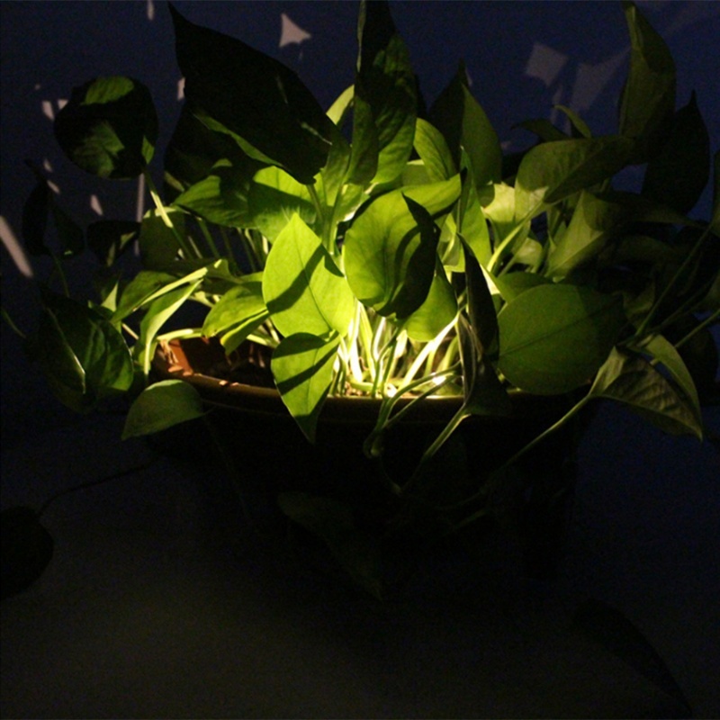 LED Solar Garden Lights Solar  - đánh giá và giá Outdoor Lighting Decoration