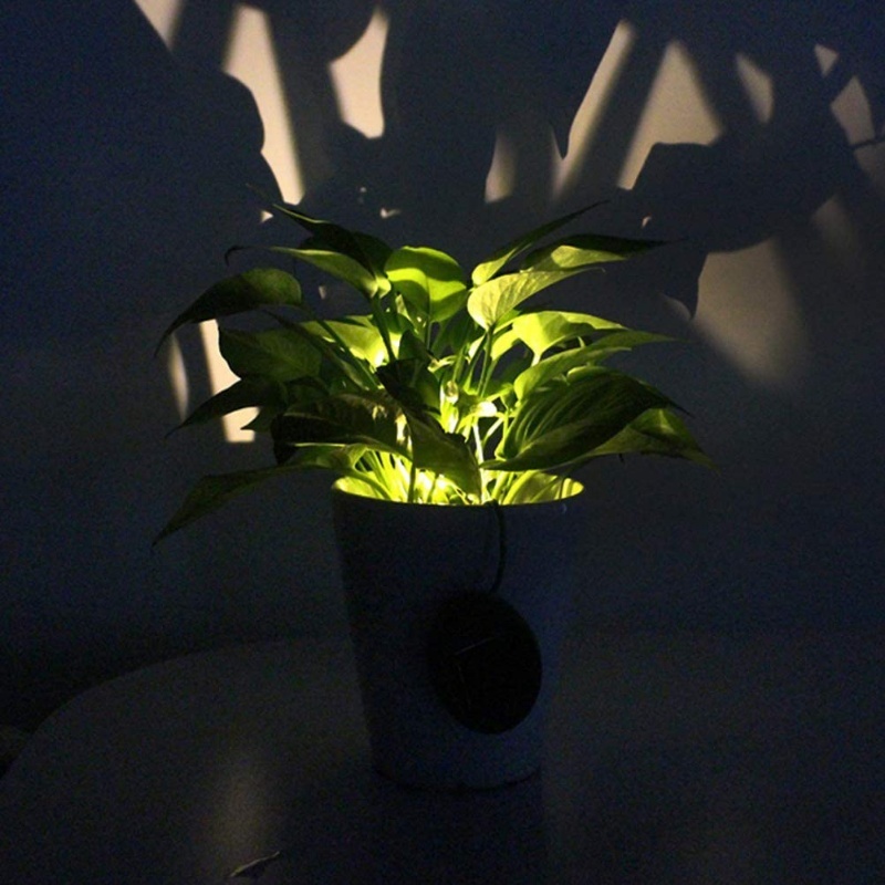 LED Solar Garden Lights Solar  - đánh giá và giá Outdoor Lighting Decoration